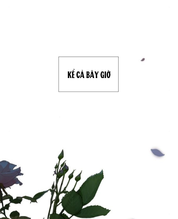 khóc đi hay là cầu xin tôi cũng được chapter 33.1 50