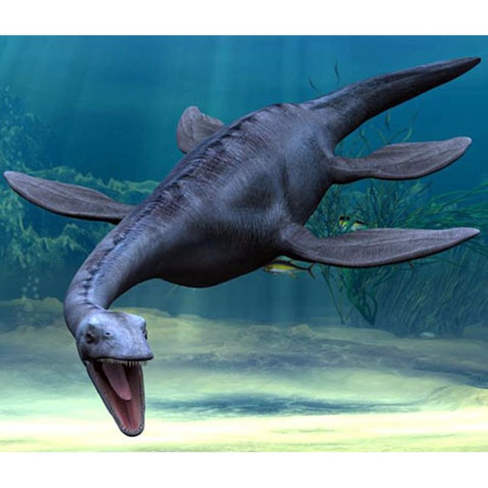 Mô Hình Khủng Long Plesiosaurus Chất Lượng Cao