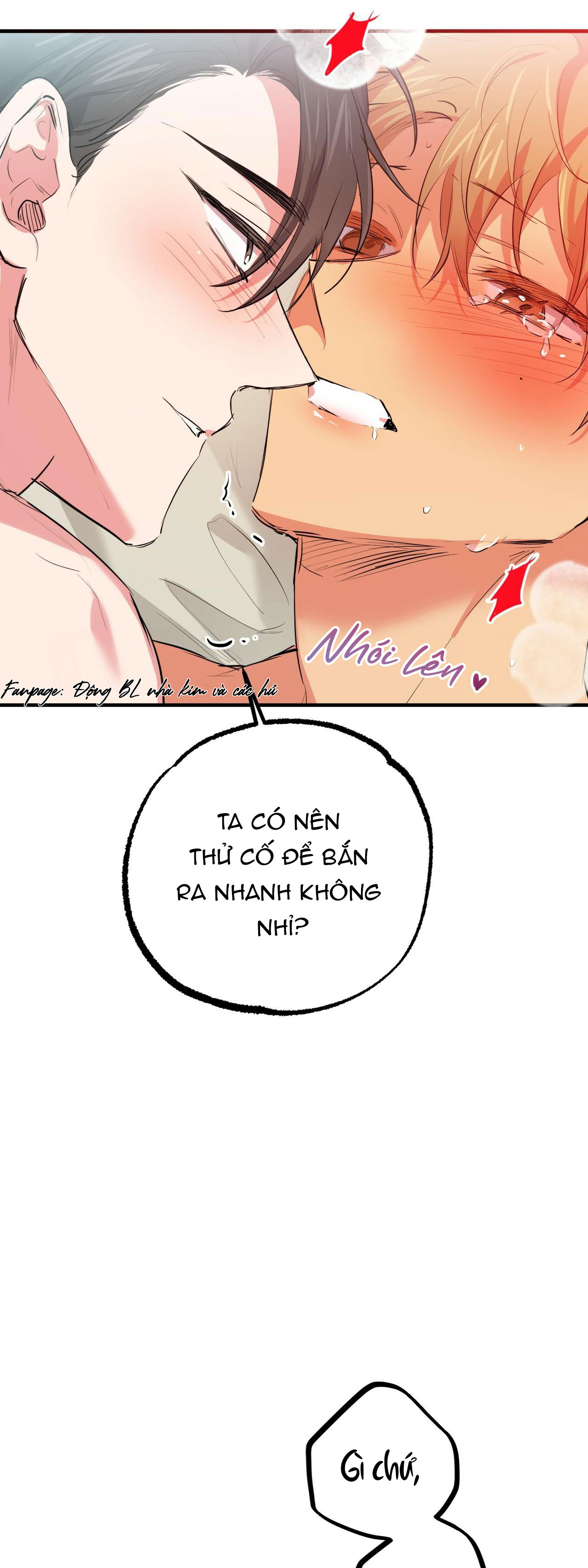 những chú thỏ của hapypy chapter 29 32