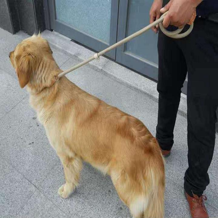 dây cột chó + vòng cổ (dây dài 1m2)