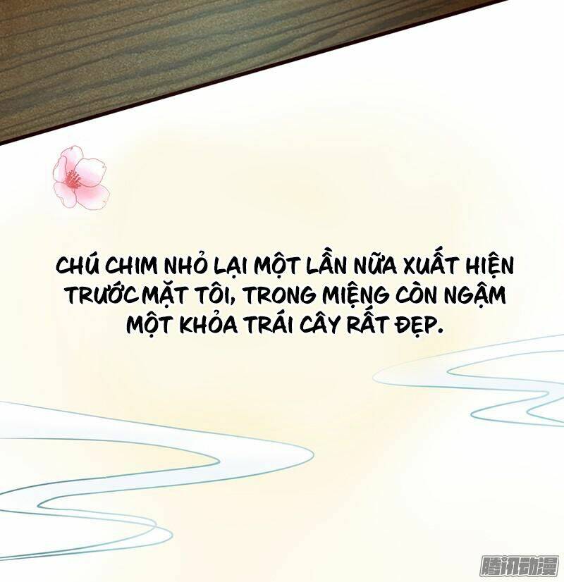 tình nhân kiếp trước là vĩ hồ chapter 1 14