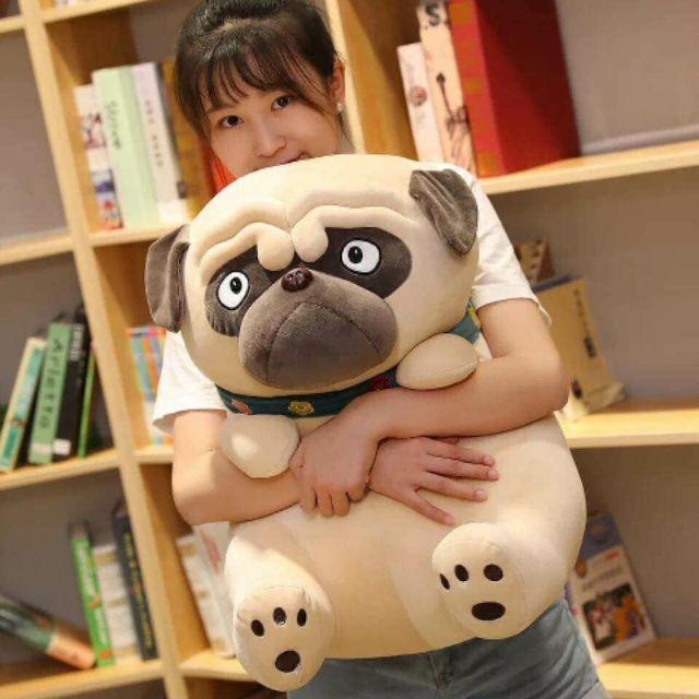 Chó Pug Bông Mặt xệ đủ Size 25 cm , 35 cm ,40 cm , 50cm