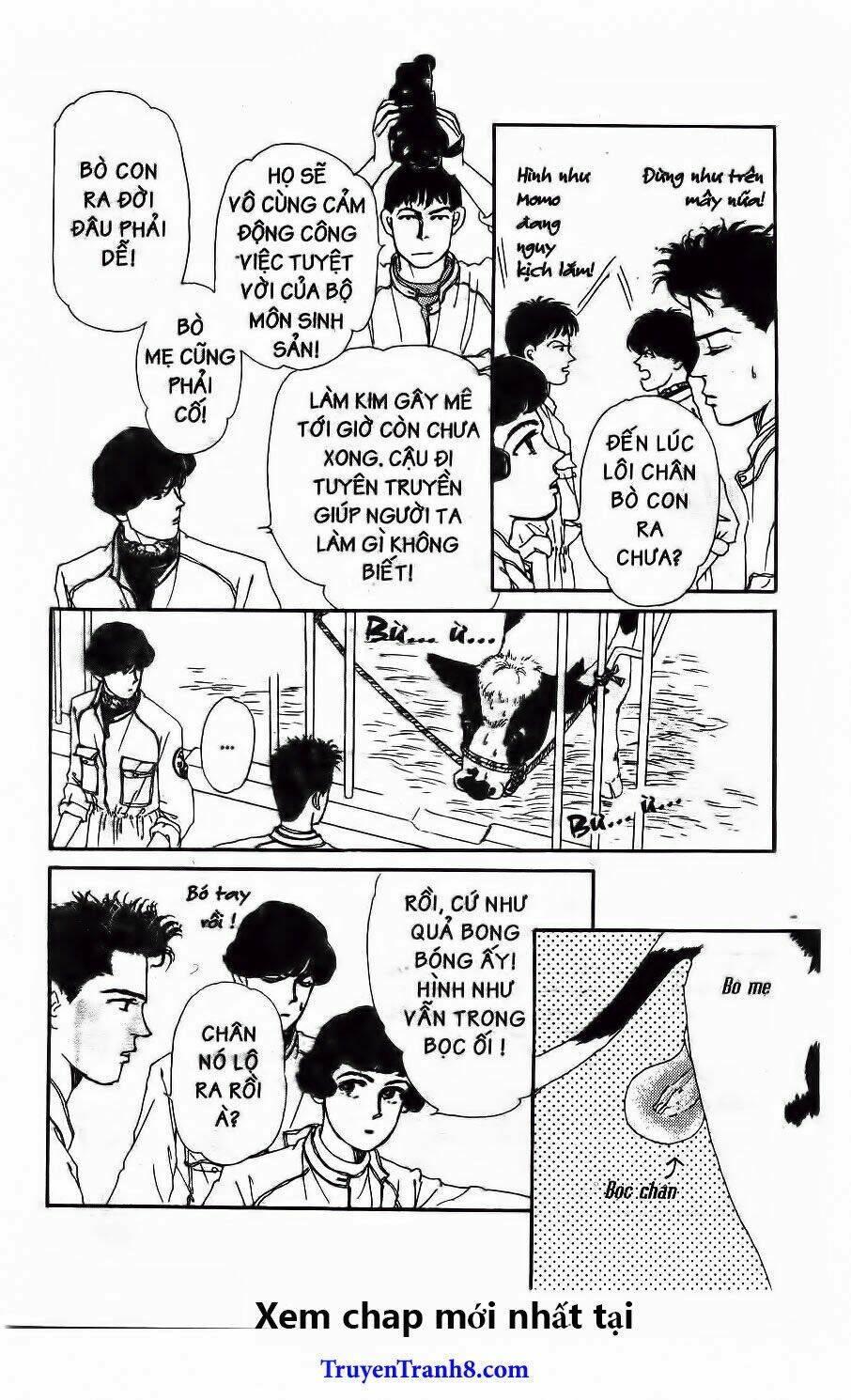 bác sĩ thú y chapter 46 10