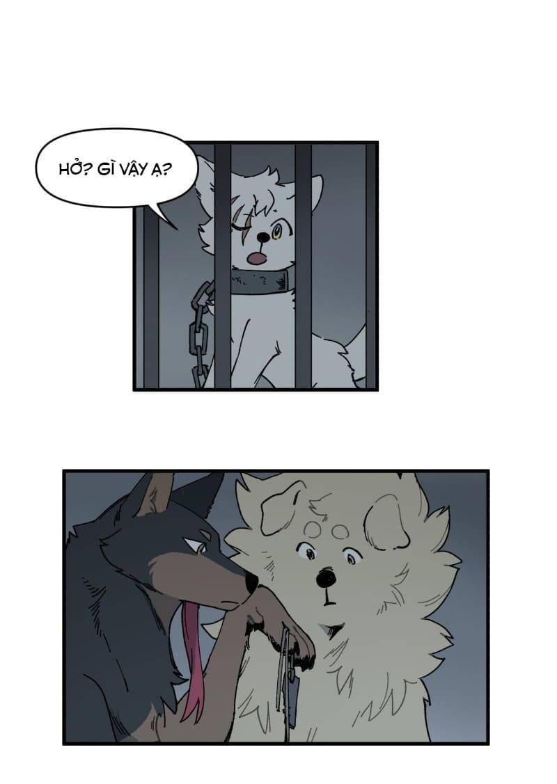 lumine - cội nguồn ánh sáng chapter 145 19