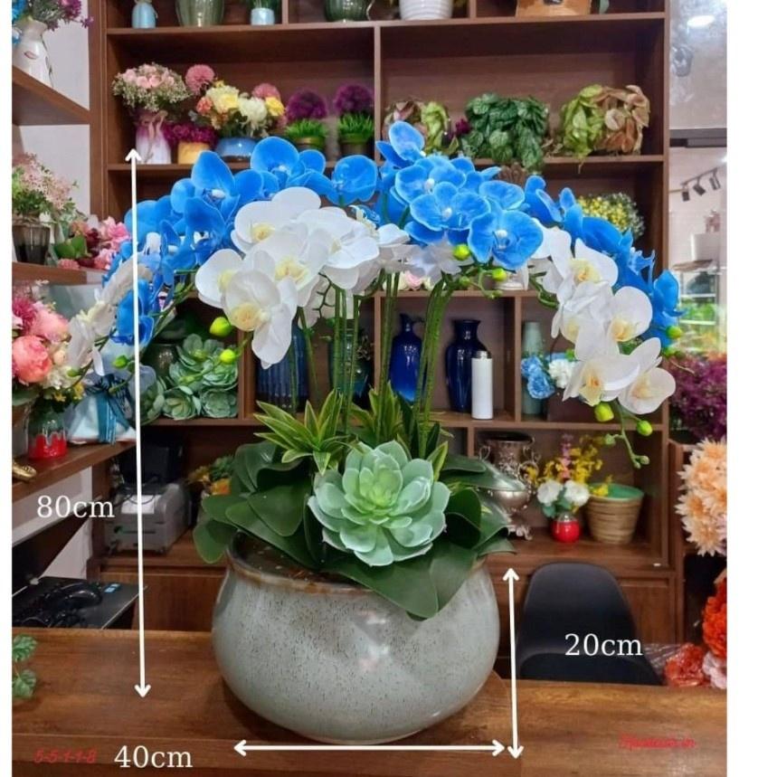 Chậu hoa lan hồ điệp cao su cao cấp cao 60cm trang trí phòng khách, làm quà khai trương sang trọng