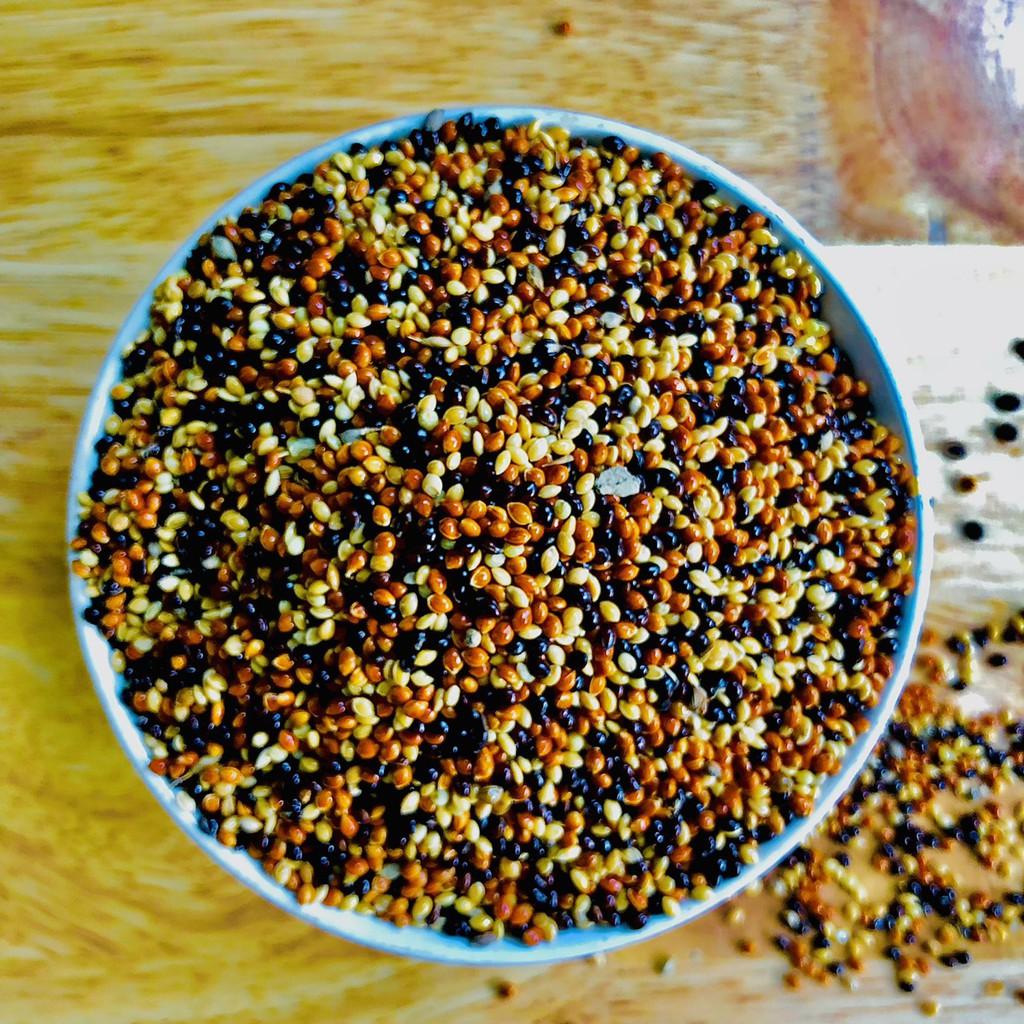 Thức ăn cỏ thái ngũ sắc chim cu gáy, 500gram hạt kê trộn dành cho Yến Phụng, Finch, 7 màu, Manh Manh
