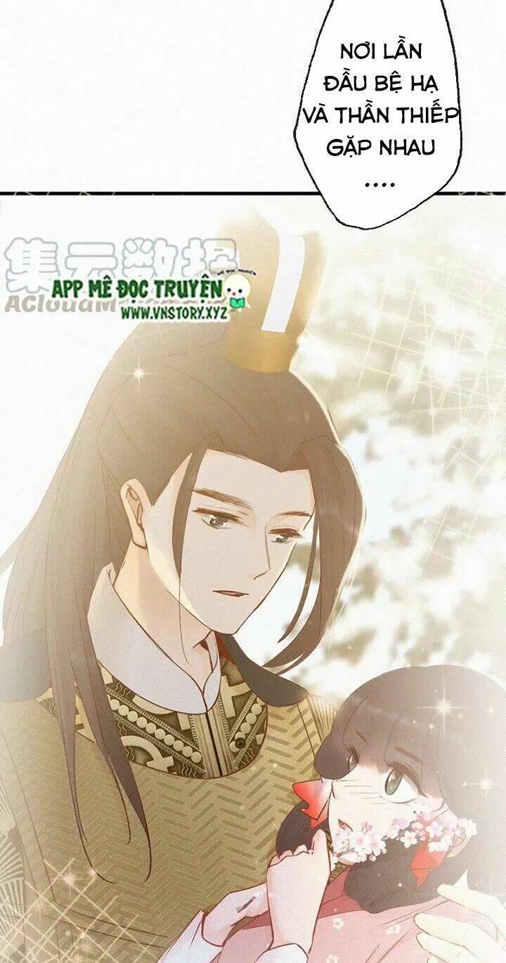 thiên hương mỹ nhân chapter 101 19