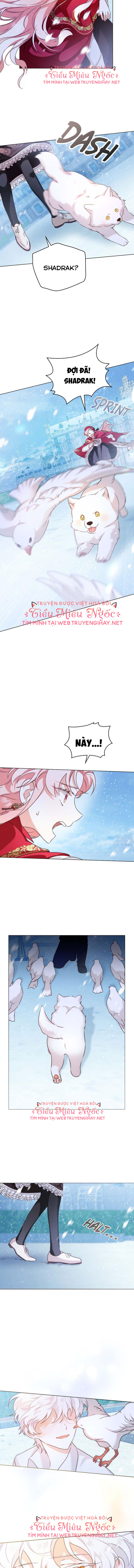 ánh sáng của bình minh chapter 12 6