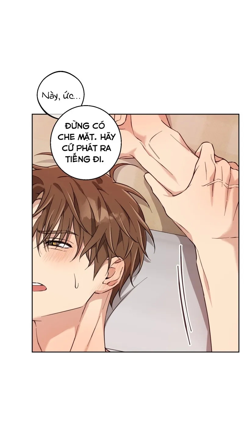 hãy bảo vệ tình yêu thuần khiết! chapter 7 69