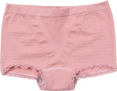 Combo 5 quần lót dạng đùi kháng khuẩn nữ cotton chữ V trơn cạp nhỏ cao cấp dễ thương xuất Nhật QLNU02