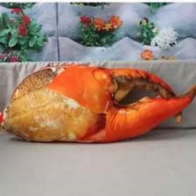 Gối ôm hình càng cua kích thước 70cm