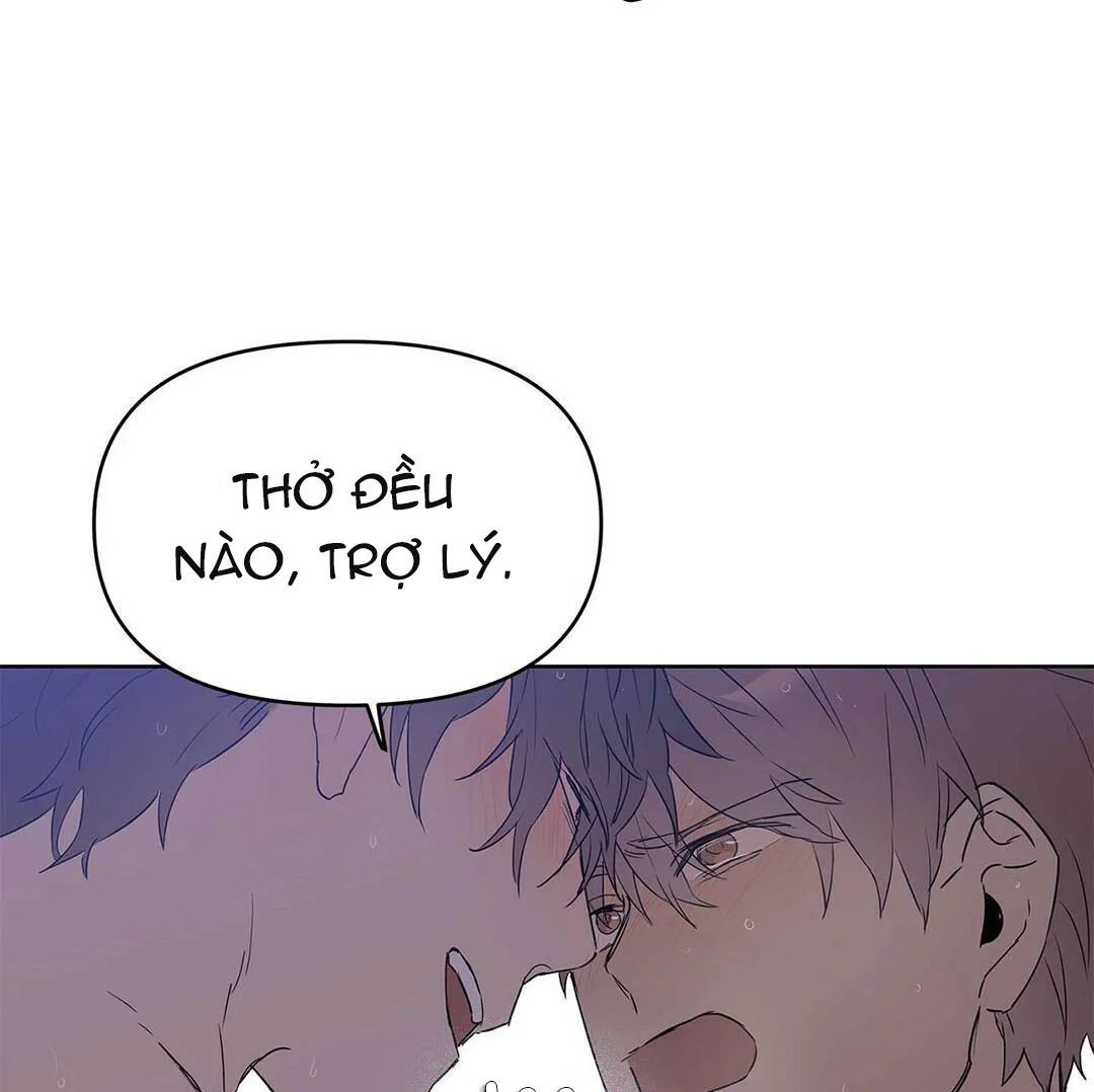 guide cấp b chapter 21 81