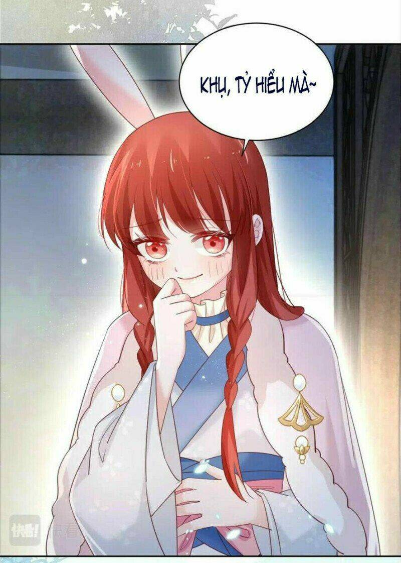 hắc hóa nam chính trực tuyến nuôi thỏ chapter 62 19