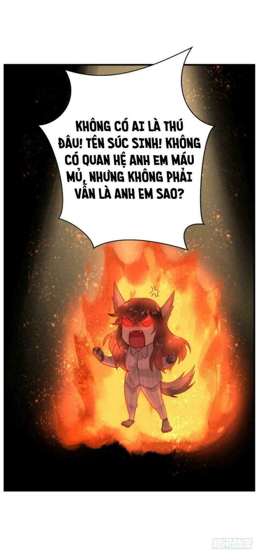 mộ thiếu, lão bà ngươi trọng sinh lại rồi! chapter 24 17