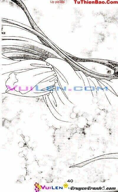 đóa hoa yêu kiều chapter 4 41