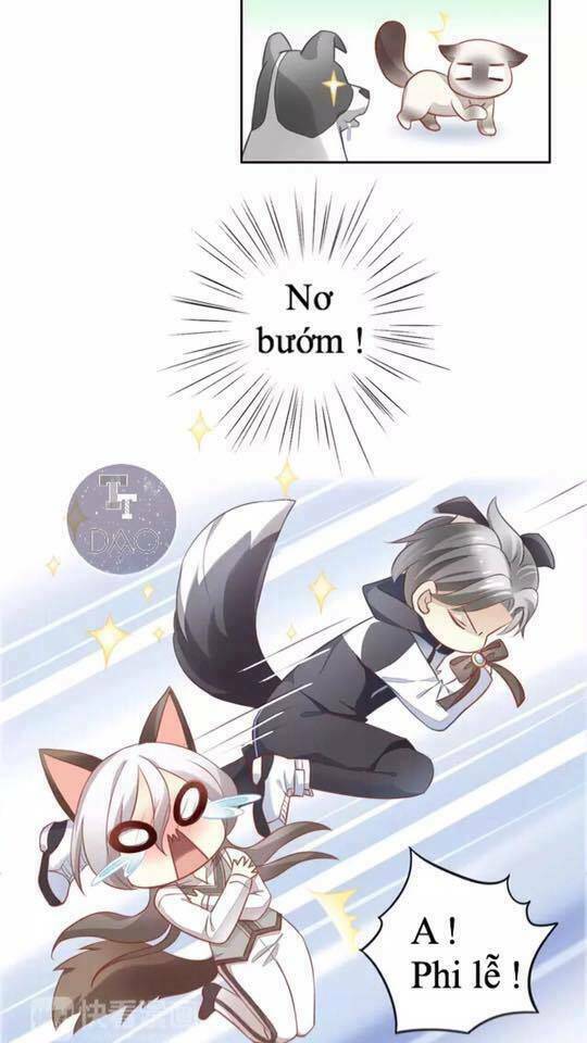 dưới móng vuốt mèo chapter 17 8