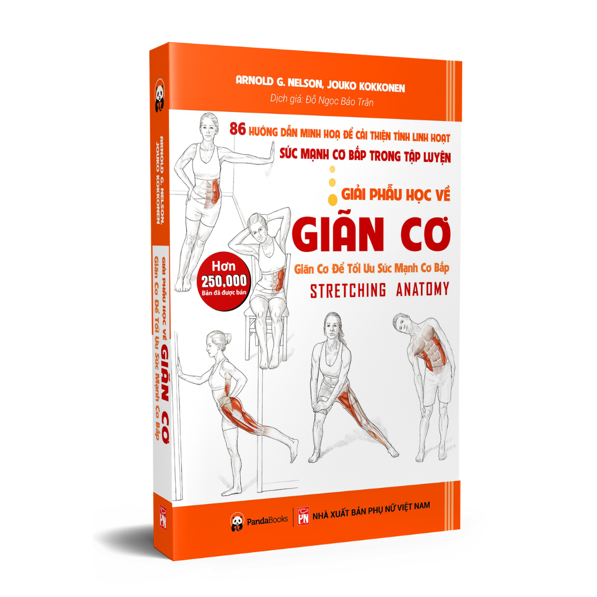 Sách PANDABOOKS Giải phẫu học về giãn cơ - Giãn cơ để tối ưu sức mạnh cơ bắp