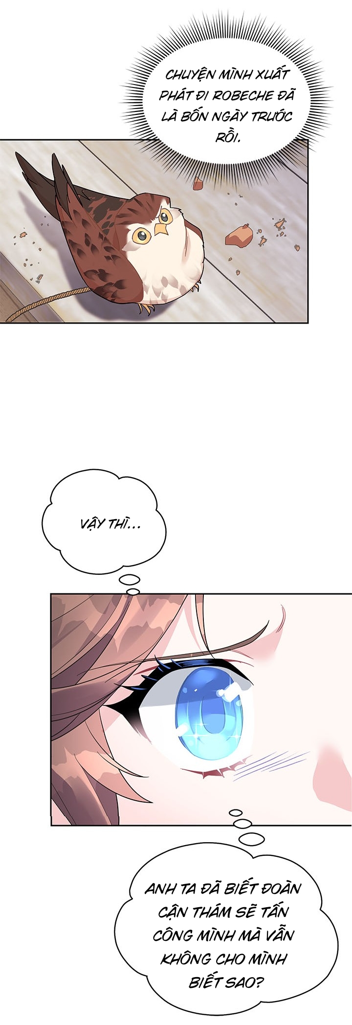 công chúa của loài chim chapter 9 20