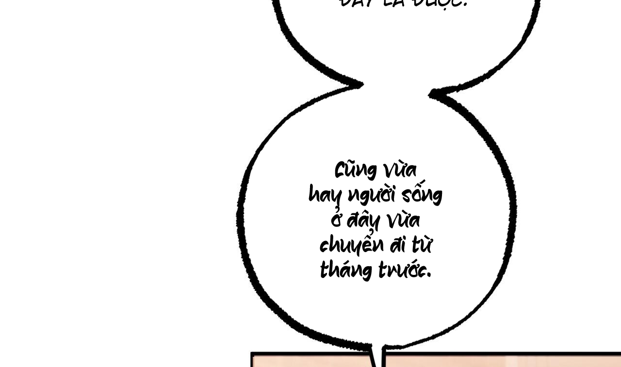 những chú thỏ của hapypy chapter 51 230