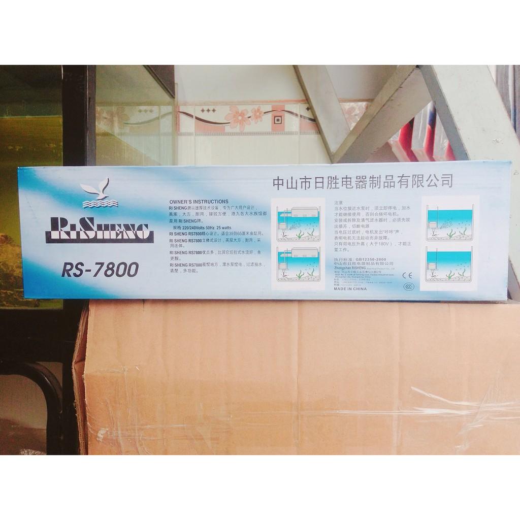 Combo máy bơm, máng lọc, RS 7800 cho hồ cá cảnh