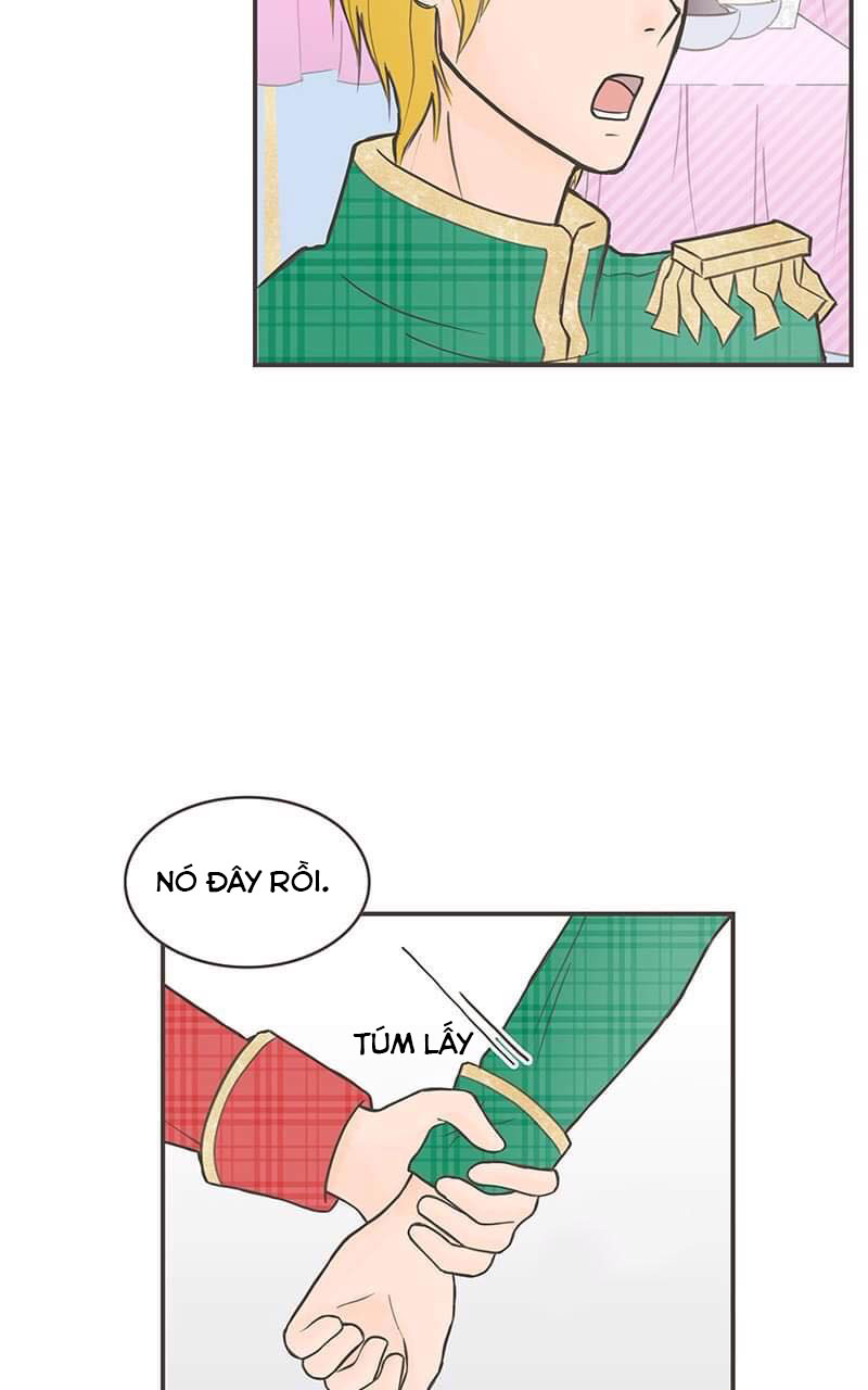 những nàng công chúa bị nguyền rủa chapter 9 24