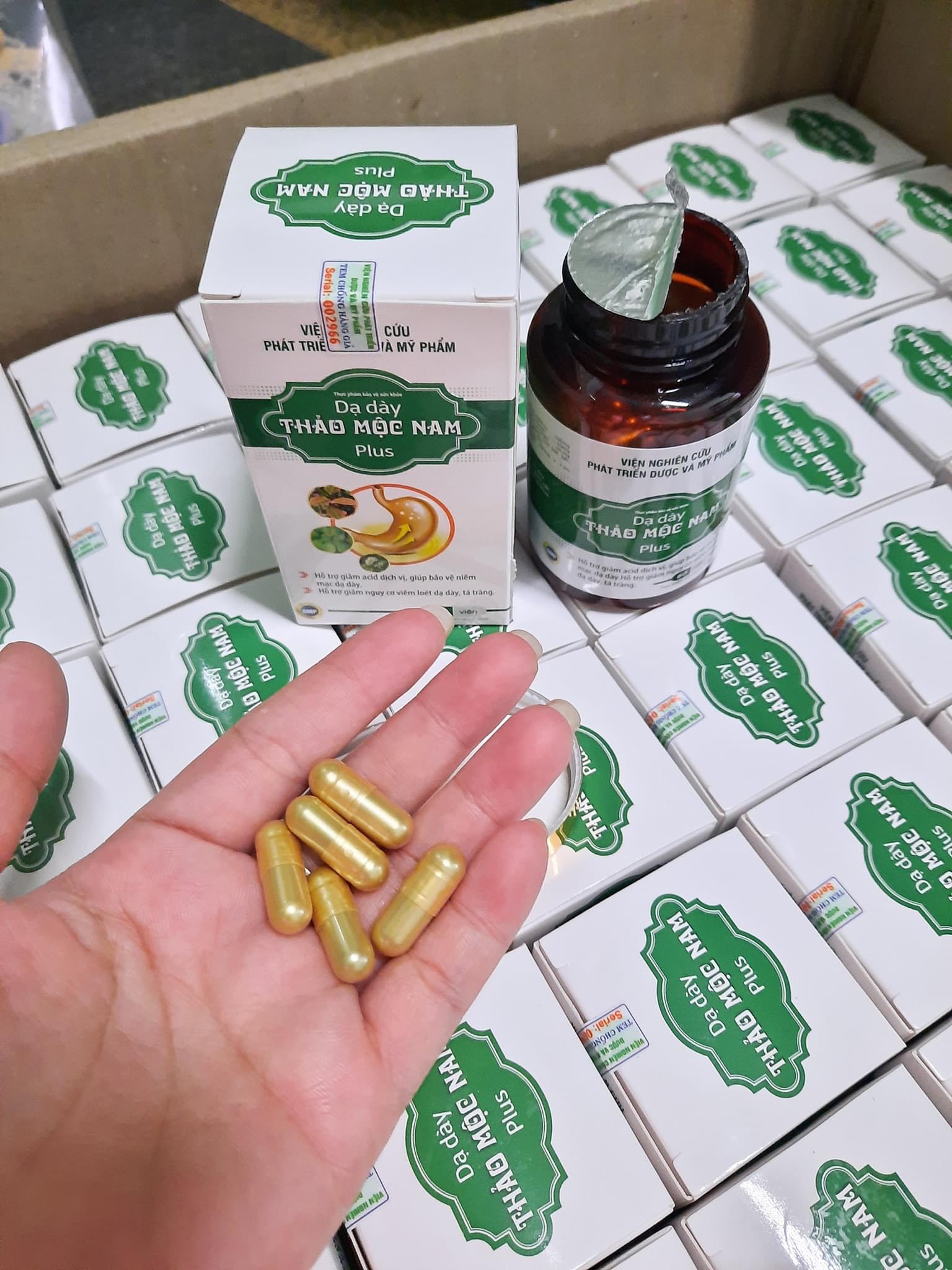 DẠ DÀY THẢO MỘC NAM. HỖ TRỢ BẢO VỆ NIÊM MẠC DẠ DÀY GIẢM ACID DỊCH VỊ.