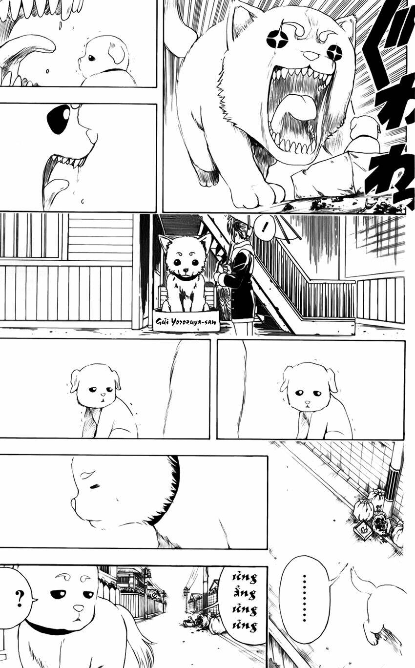 gintama - linh hồn bạc chapter 401 8