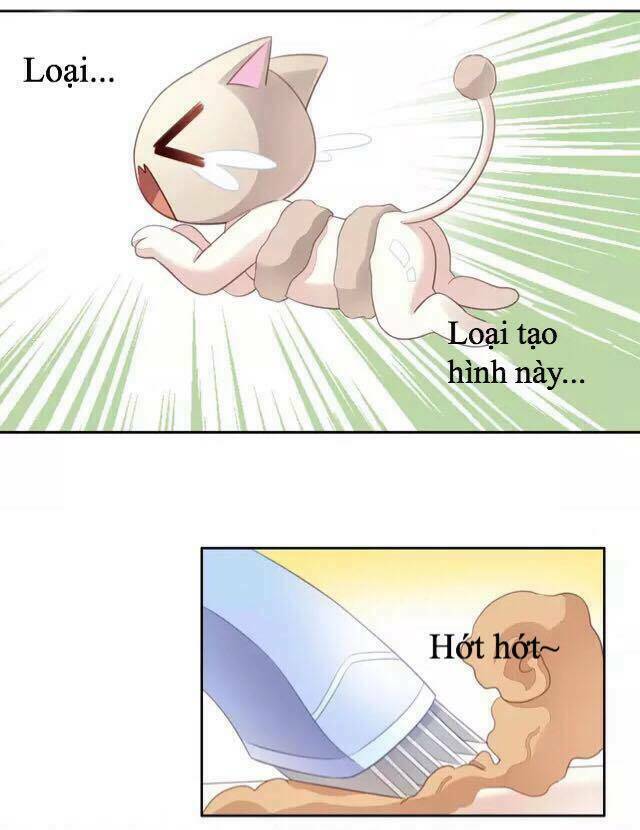 dưới móng vuốt mèo chapter 16 28