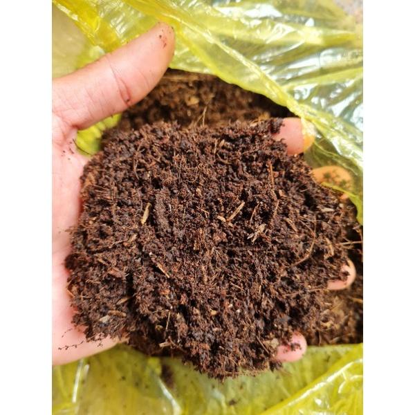 Đất trồng cây trộn sẵn