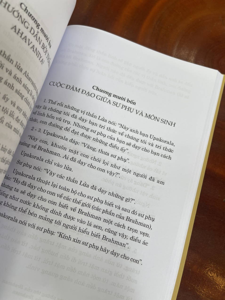 VEDA UPANISHAD - Những bộ kinh triết lý tôn giáo cổ Ấn Độ - PGS.TS. Doãn Chính (Chủ biên)  - NXB Chính trị Quốc gia Sự thật