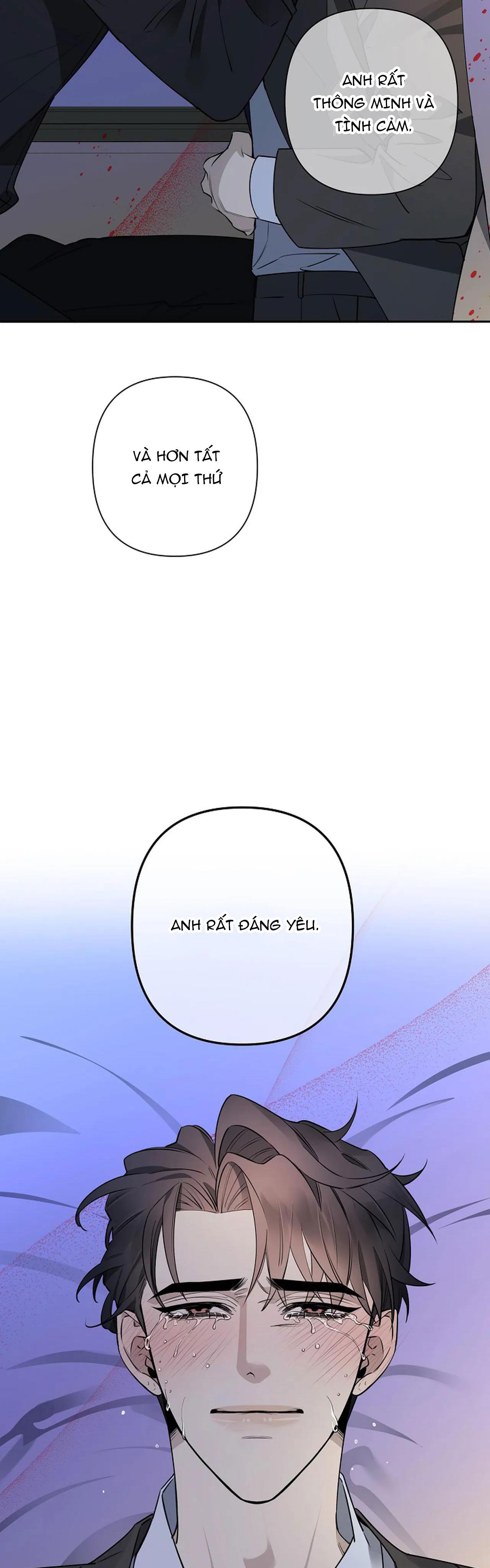 đêm dịu dàng chapter 38 17