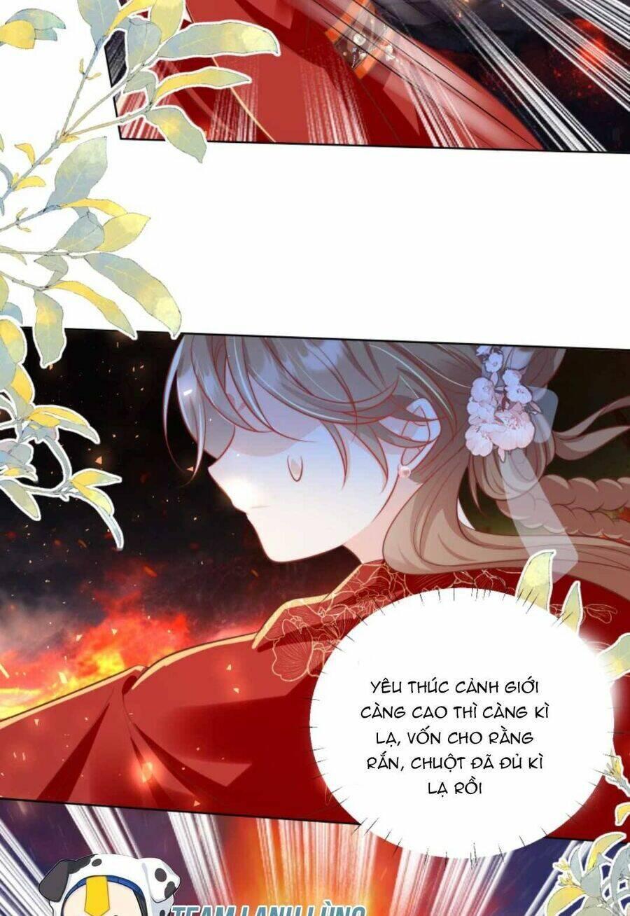 Mở Đầu Nữ Đế Làm Chính Cung chapter 168 30