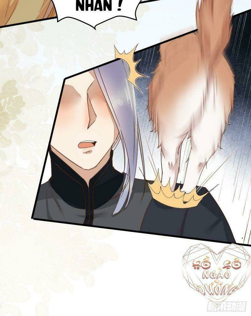 sát thủ vương phi không dễ chọc chapter 36 15