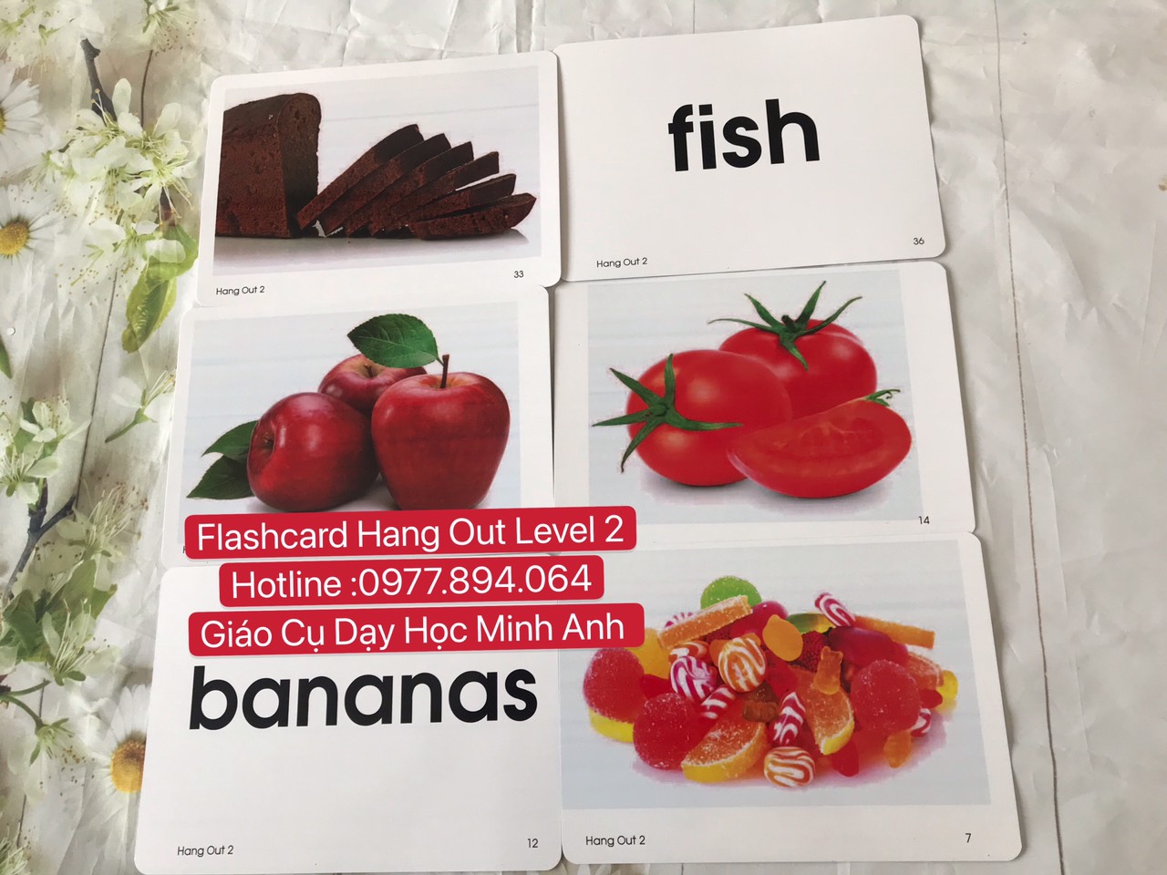 Flashcards Hang out level 2-in 2 mặt - ép plastics