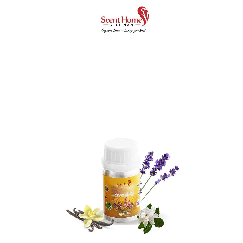 Tinh dầu Scent Homes - mùi hương