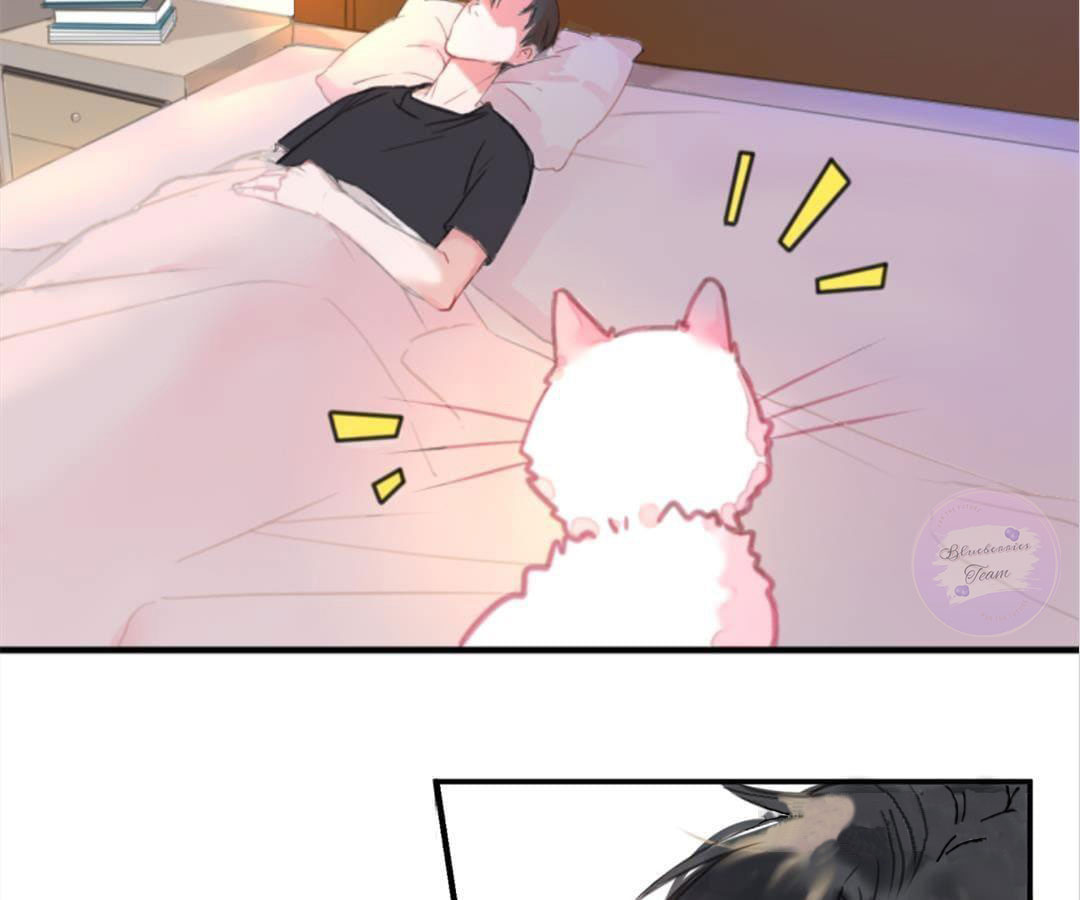 social cat chapter 1 35