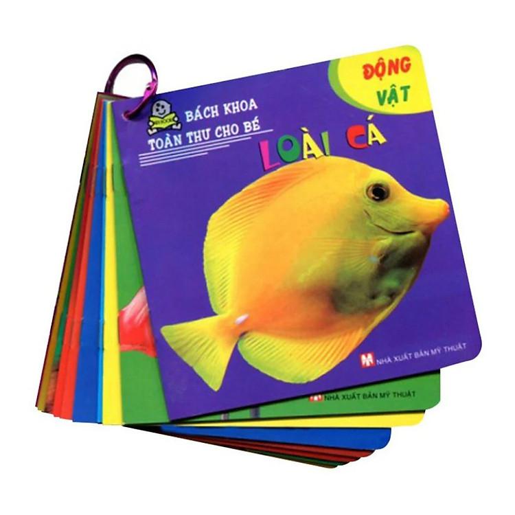 Sách Bách Khoa Toàn Thư Cho Bé