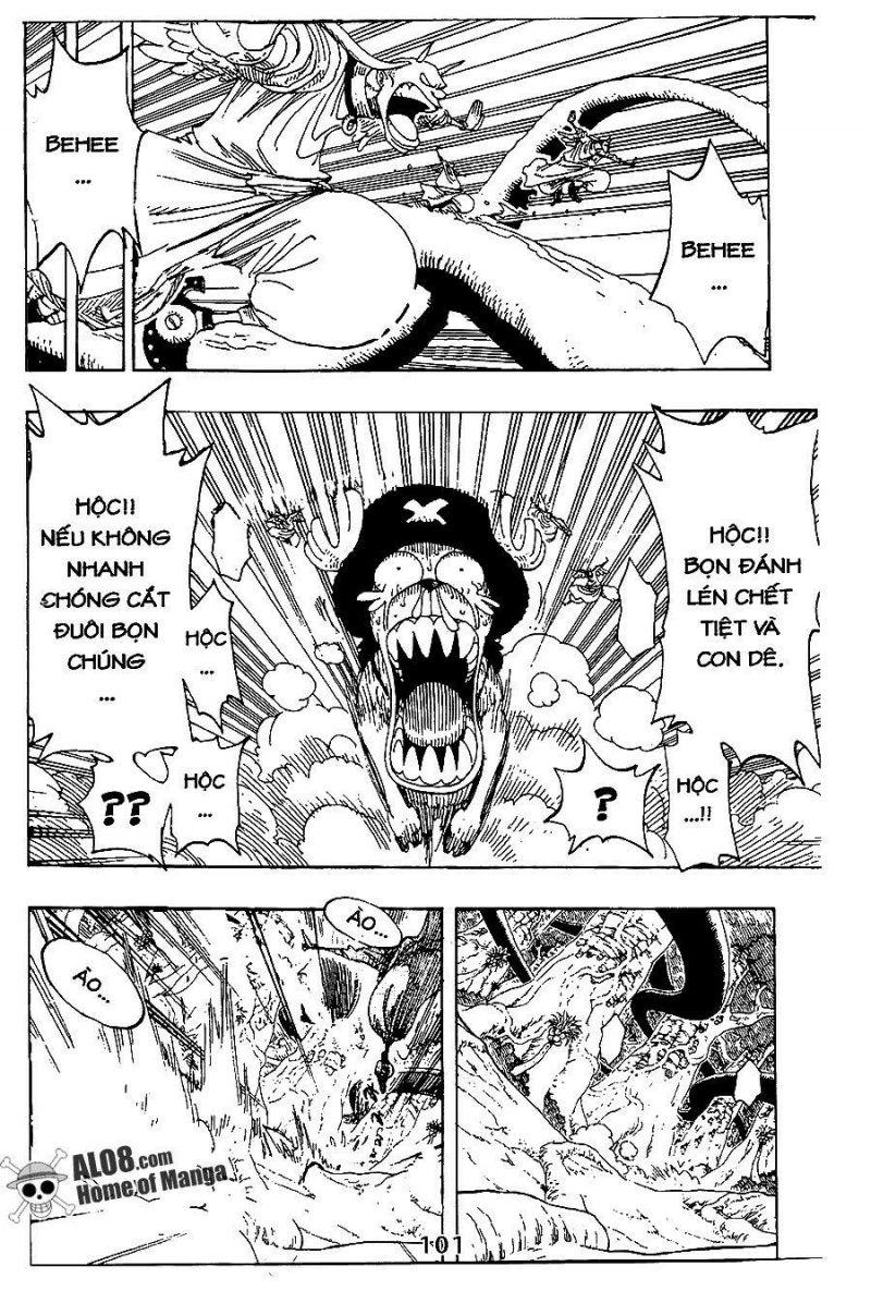 đảo hải tặc - one piece chapter 258 3