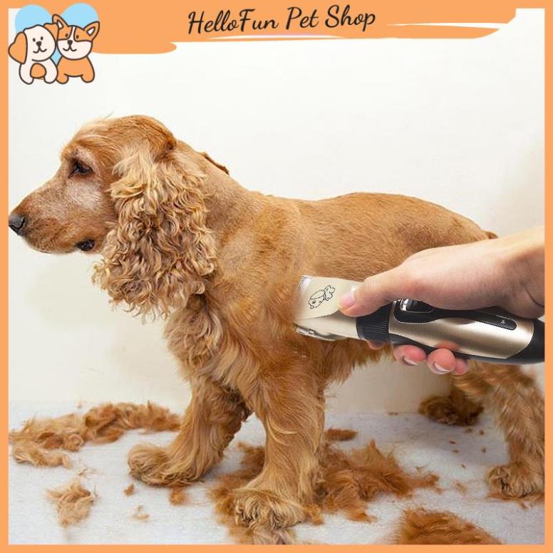 Bộ tông đơ cắt lông cho chó mèo Clipper cao cấp