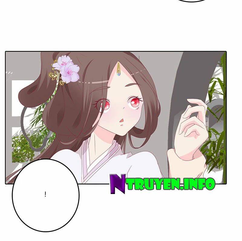 tướng quân mời ra trận chapter 68 13