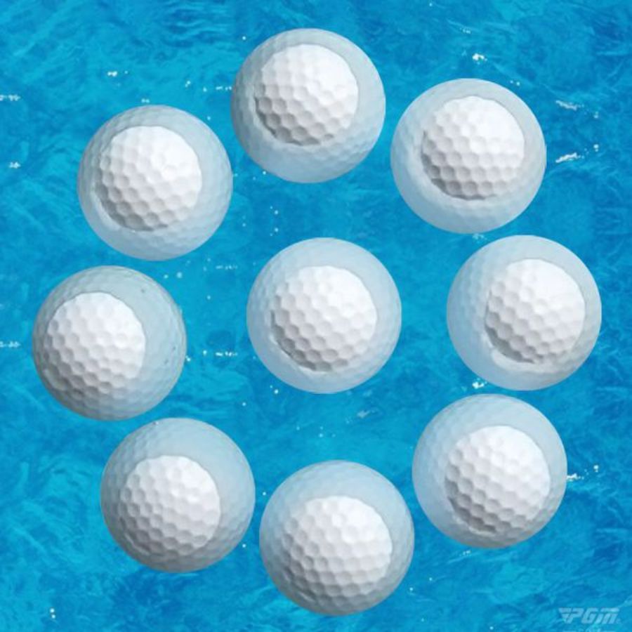 BÓNG GOLF LÕI KÉP NỔI TRÊN MẶT NƯỚC - PGM Q004 - MÀU TRẮNG - 1 HỘP 10 QUẢ