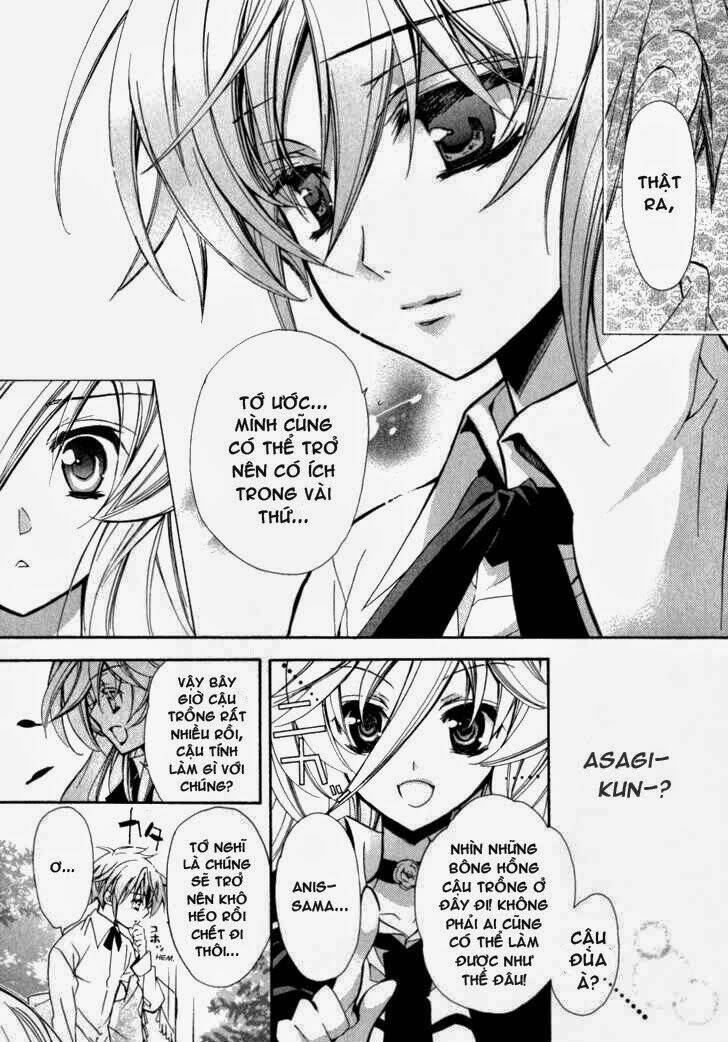 nụ hôn của công chúa tường vi chapter 4 24