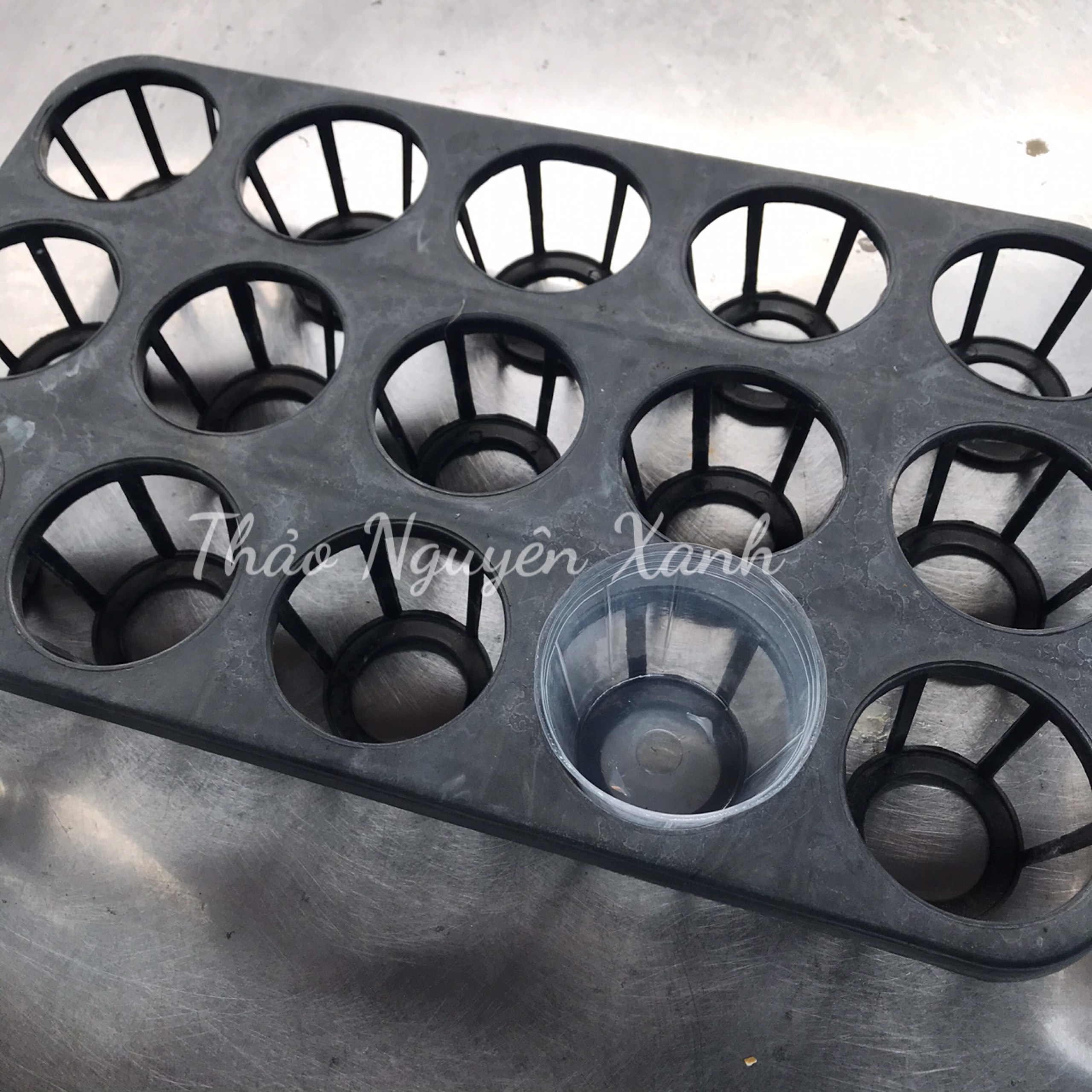 Chậu nhựa dẻo trồng lan hồ điệp 2.5 inch