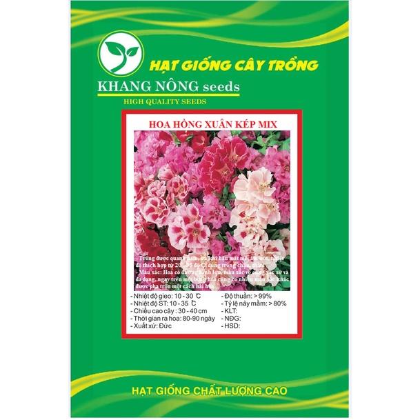 Hạt giống hoa hồng xuân kép mix màu KNS3568 - Gói 20 hạt