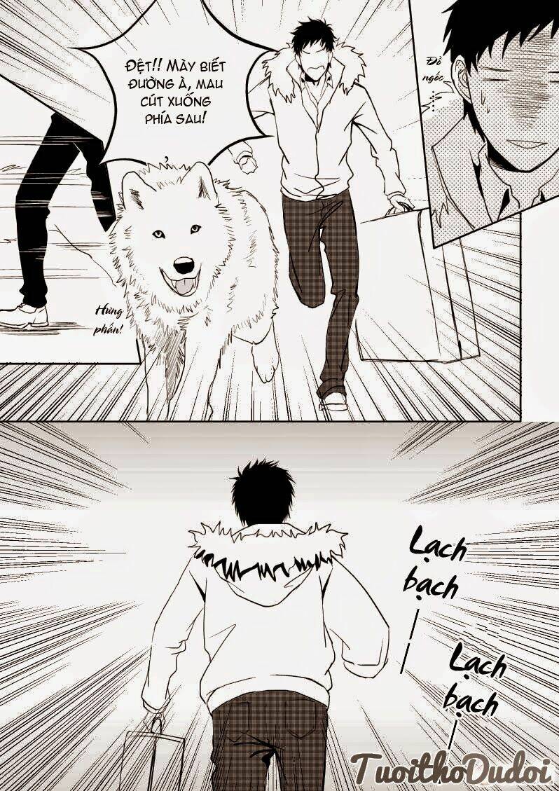 sự mê hoặc của sói chapter 11 13