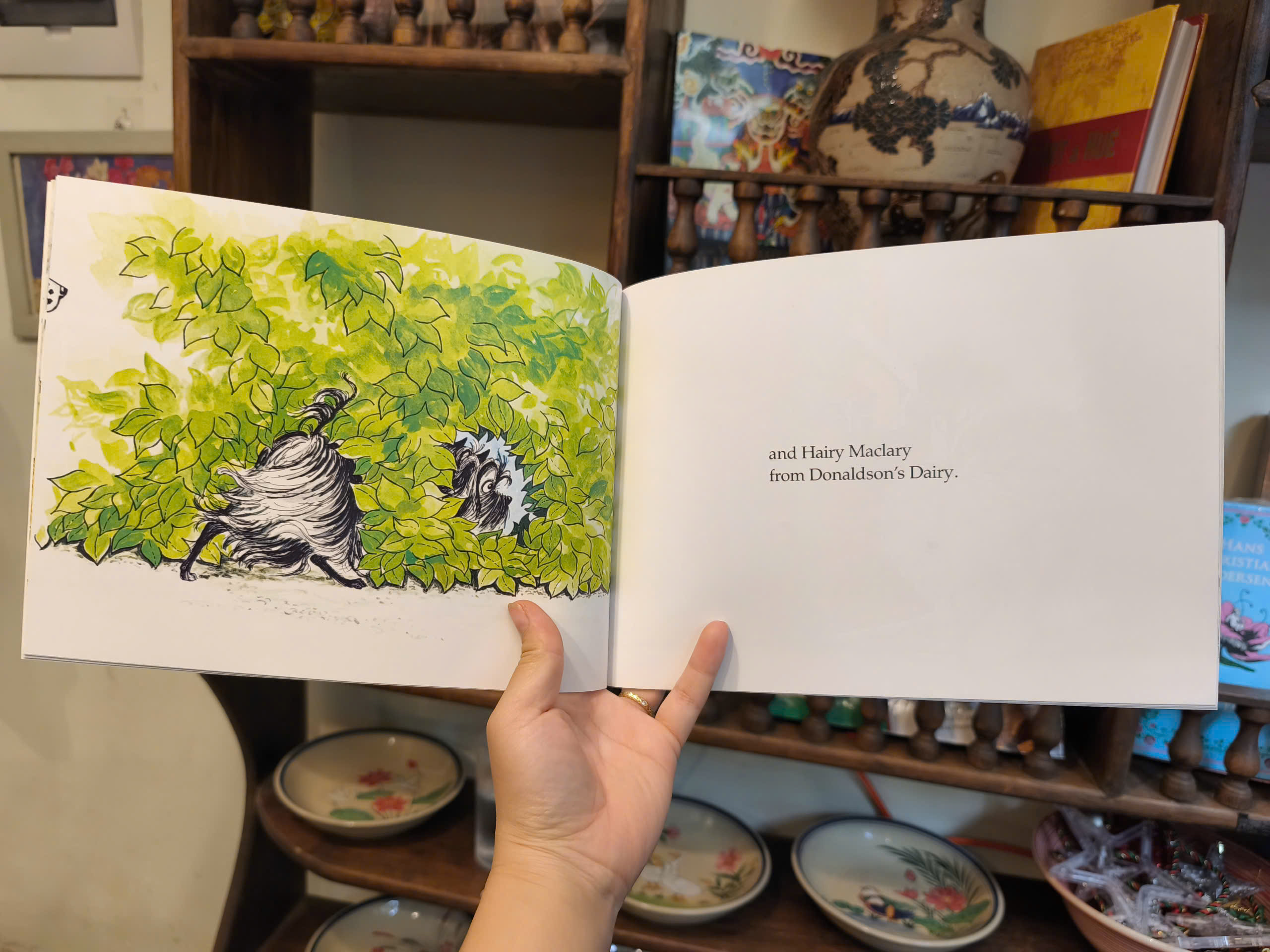 Sách - Hairy Maclary From Donaldson's Dairy by Lynley Dodd