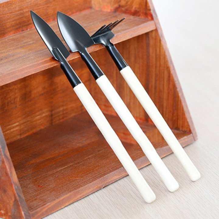 Bộ cuốc xẻng mini trồng SEN ĐÁ XƯƠNG RỒNG