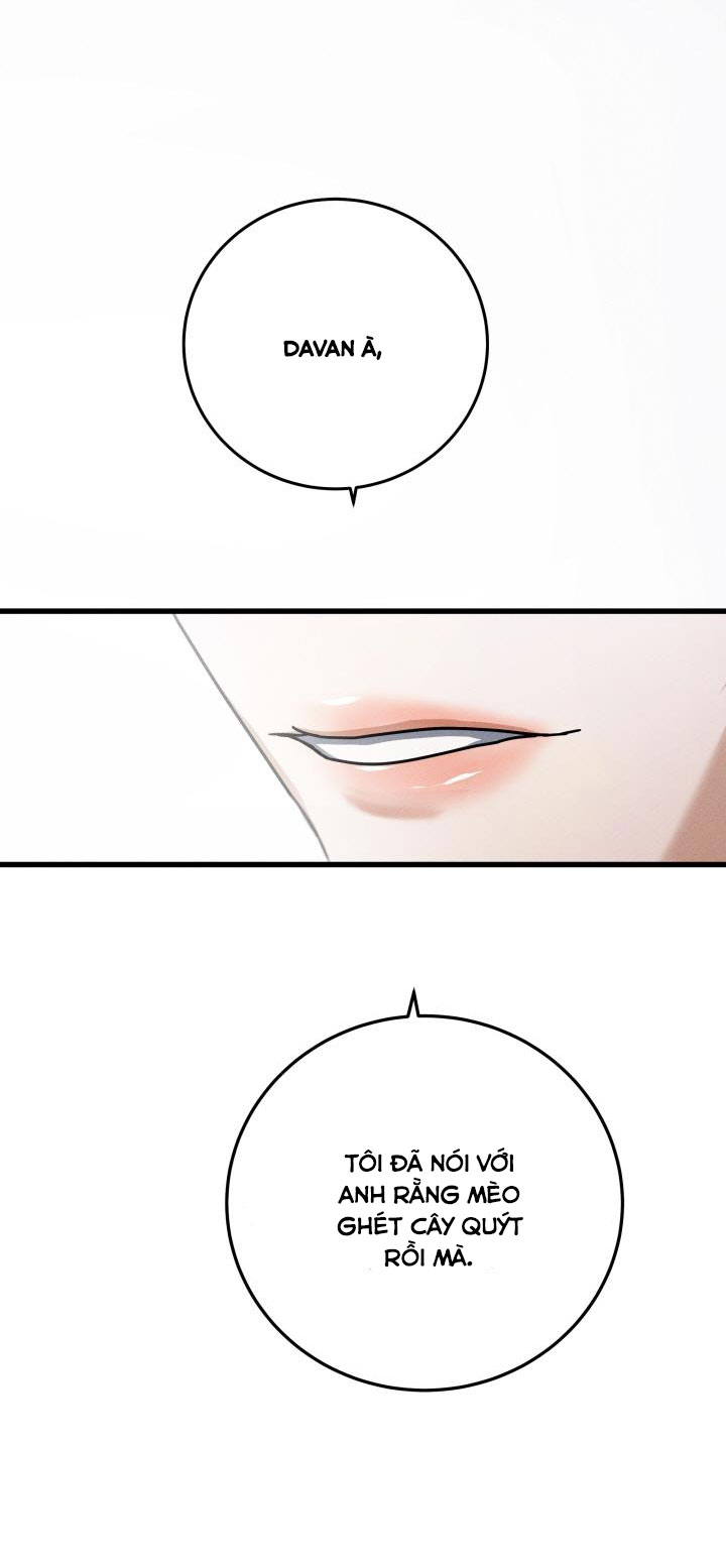 tôi muốn hủy cuộc hôn ước này chapter 22 28