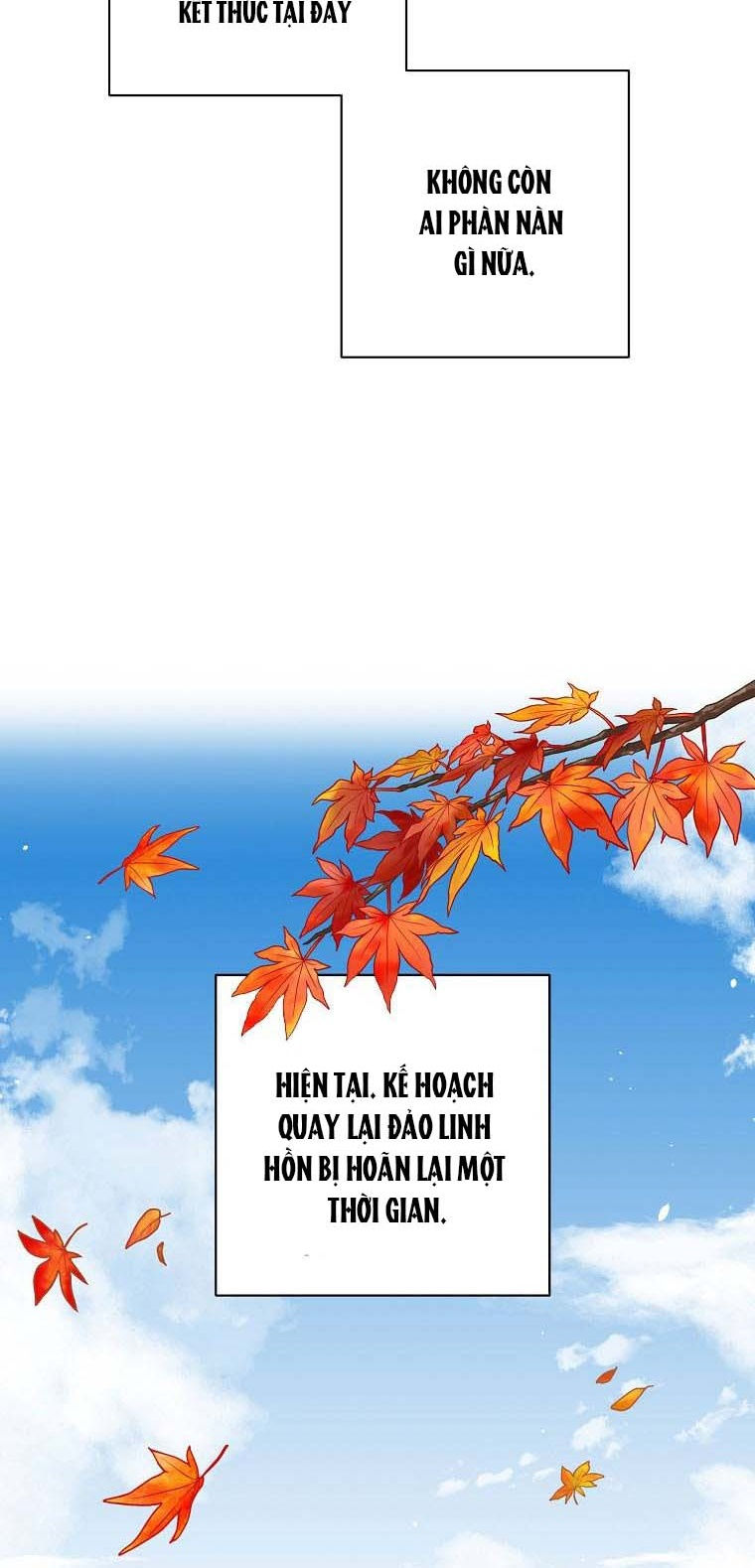 tôi là tiểu thư của gia đình này chapter 125 17