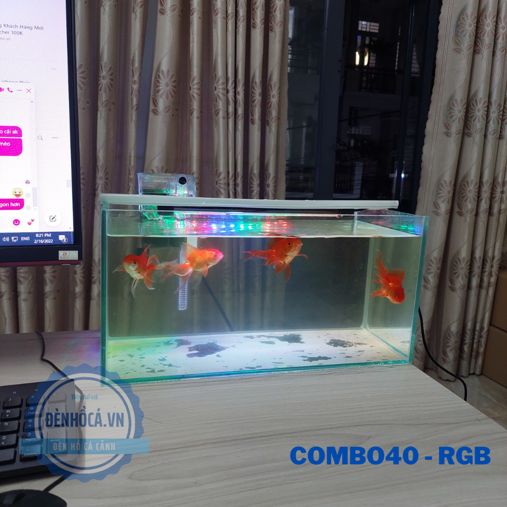 Bể cá mini 40cm COMBO C27 RGB